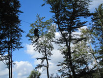 Klettergarten